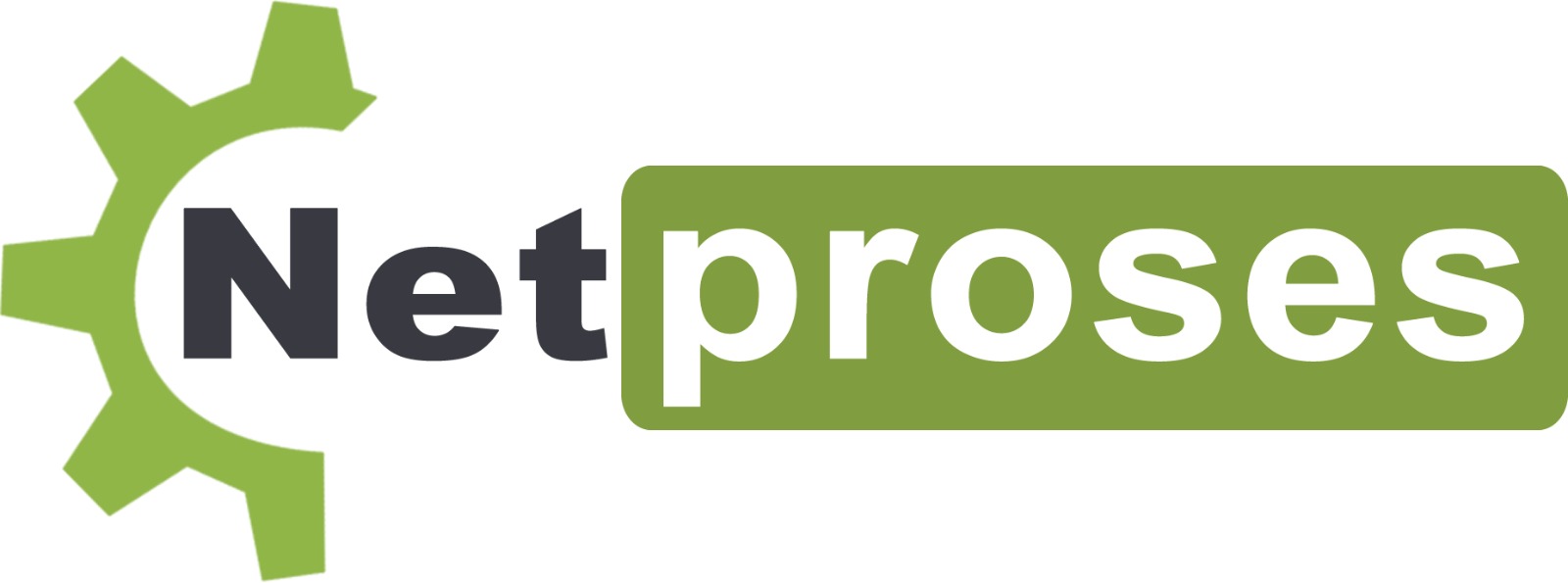 Netproses
